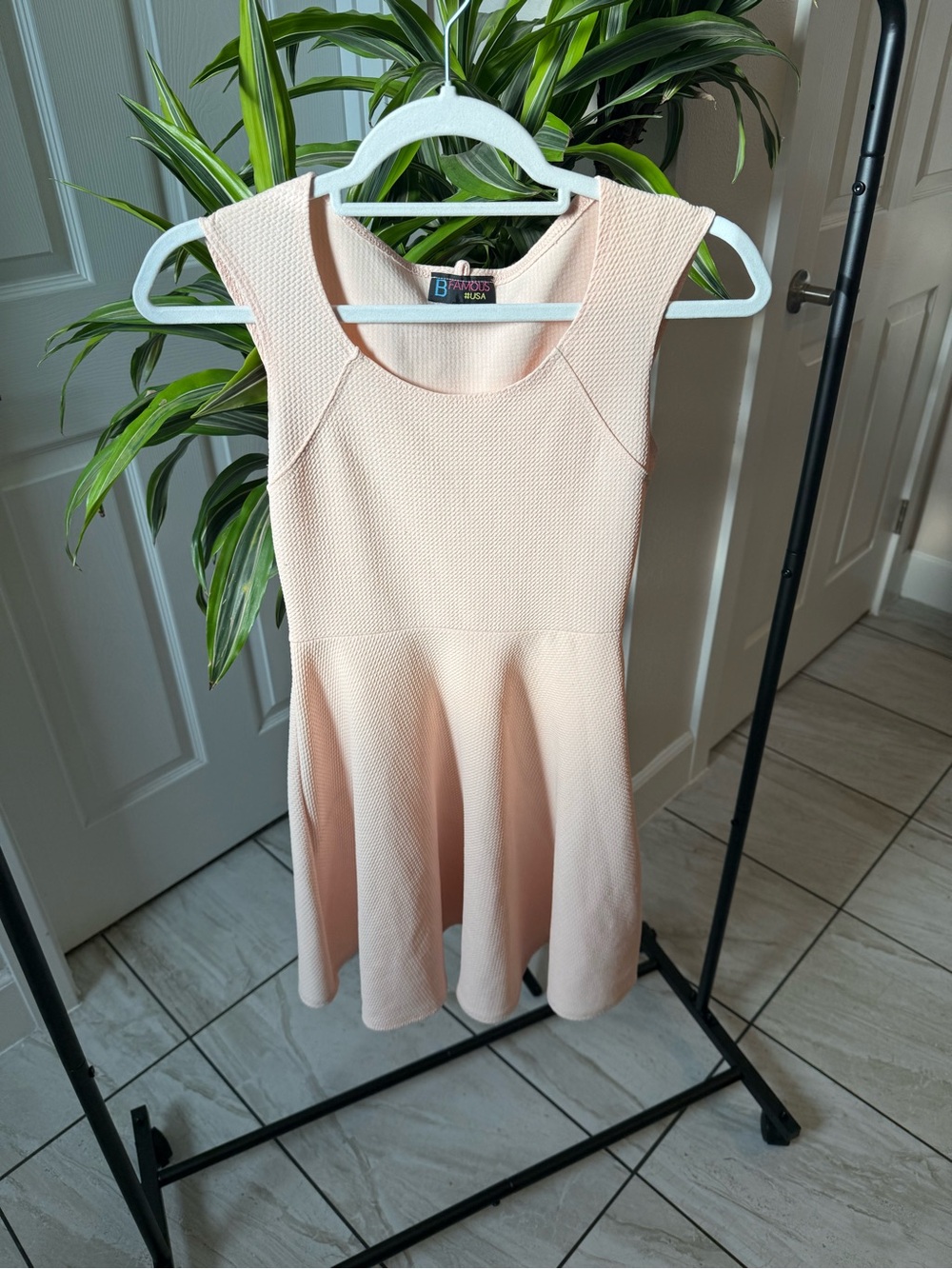 B. Paris USA Peach Textured Skater Dress